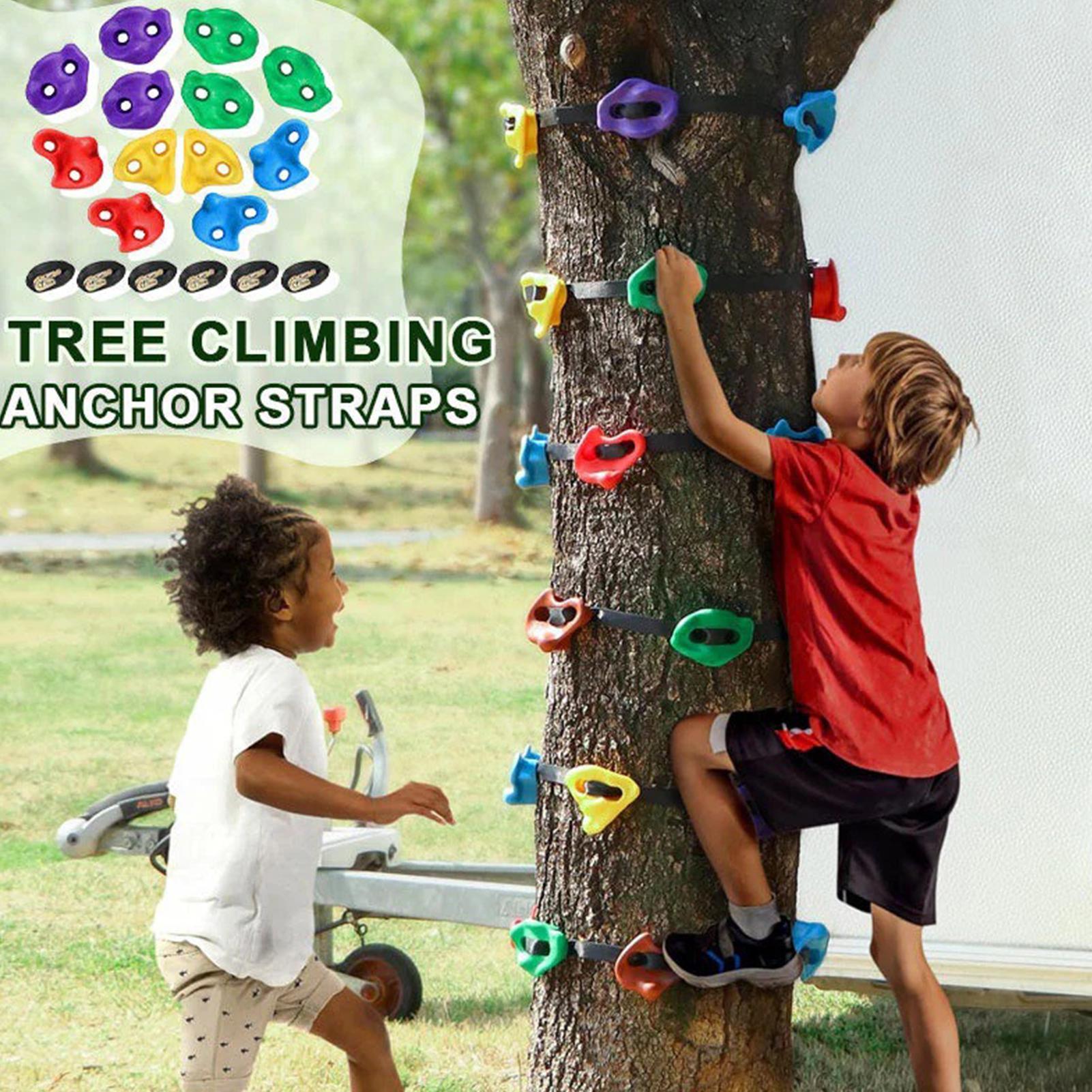 Equipo de Escalada en Árboles  - Outdoor Adventure Store reseña y precio