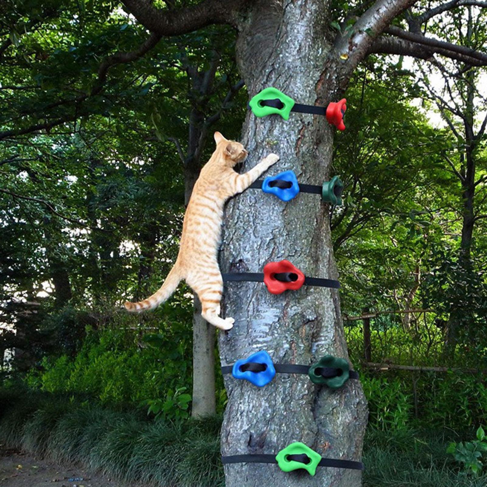 Equipo de Escalada en Árboles  - Outdoor Adventure Store reseña y precio