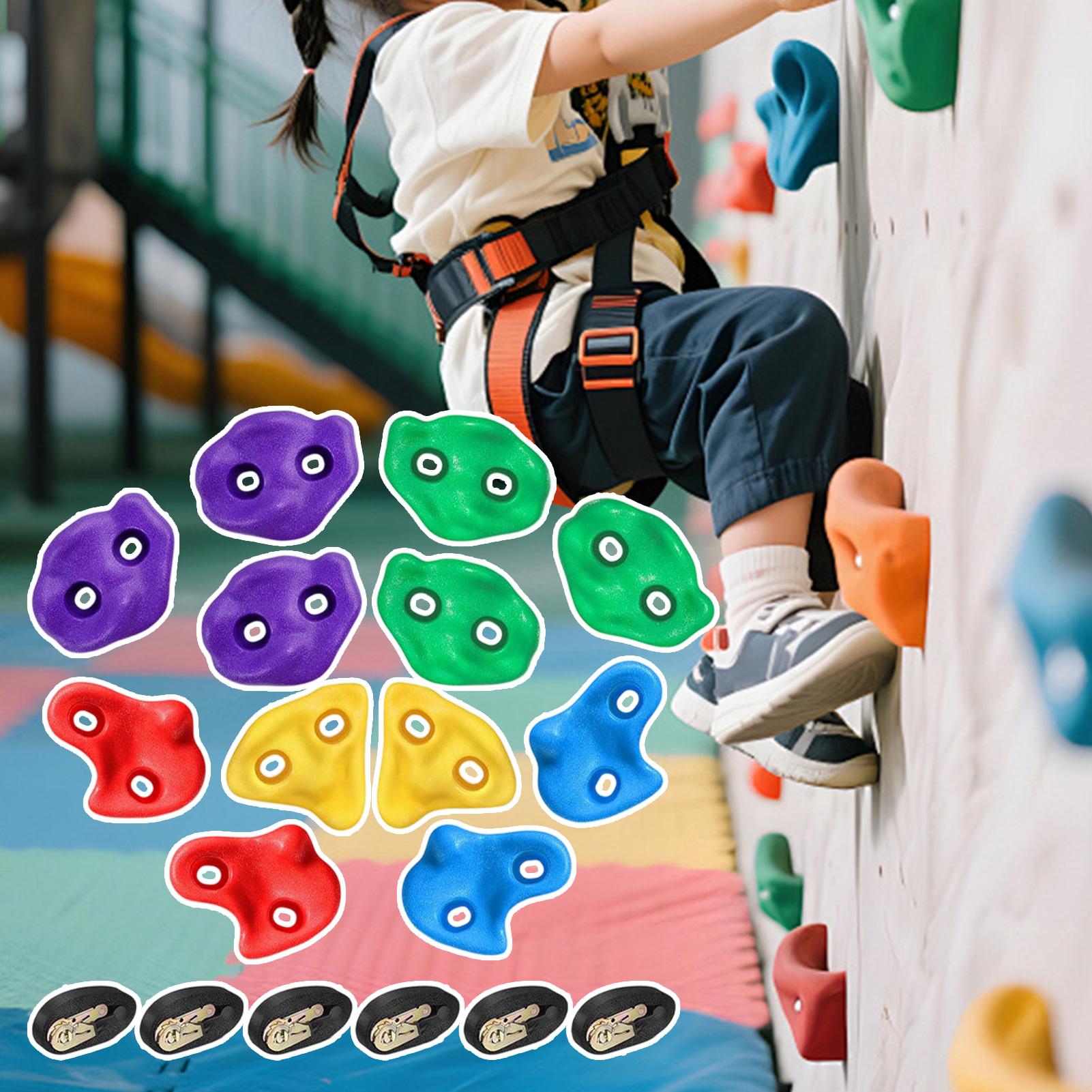 Equipo de Escalada en Árboles  - Outdoor Adventure Store reseña y precio
