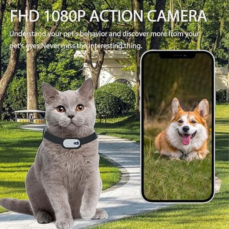 Cámara de cuello para mascotas - Outdoor Adventure Videos reseña y precio
